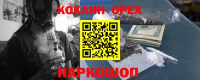 прущие грибы Можга