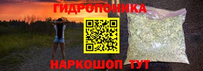 прущие грибы Можга