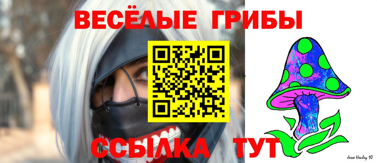 Петропавловск-Камчатский  Галлюциногенные грибы мухоморы  Вход с VPN  что такое наркотик  Псилоцибиновые грибы GOLDEN TEACHER 