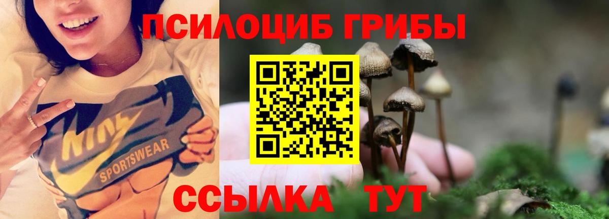 Галлюциногенные грибы Cubensis Петропавловск-Камчатский
